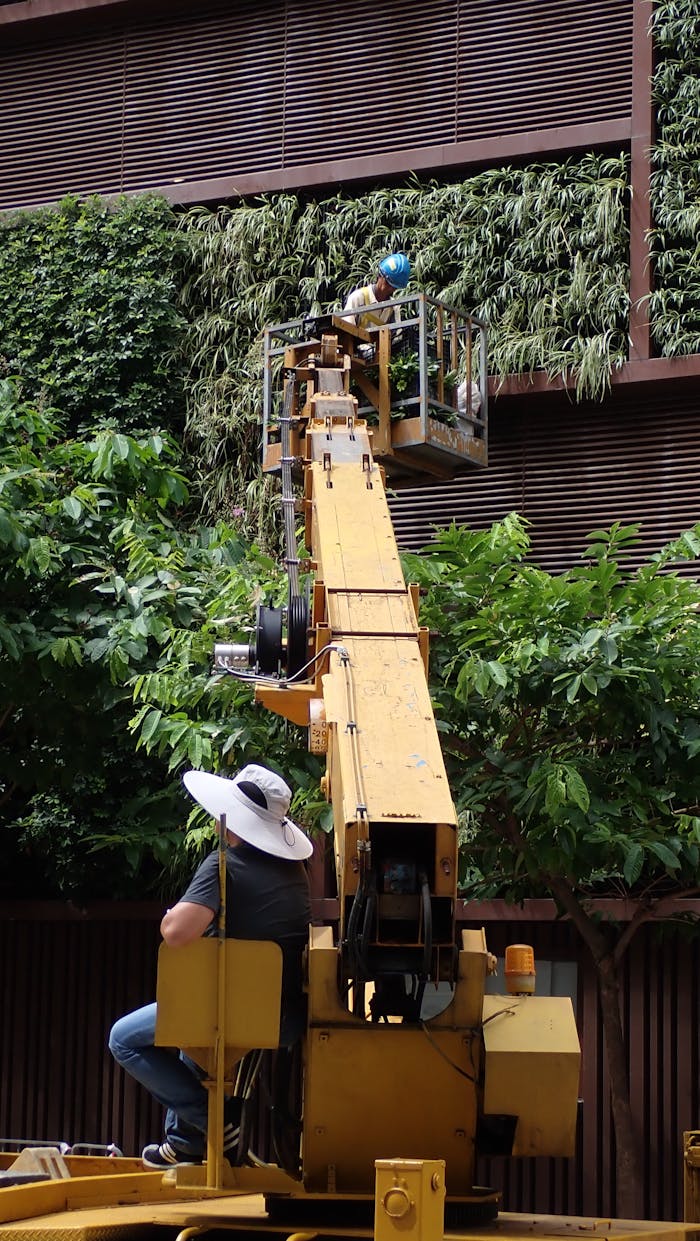 Workers on a yellow lift trimming a lush vertical garden outdoors. Enhancing greenery with precision.