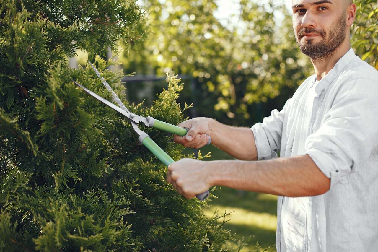Man using pruners to cut branches in a lush green garden during the day.