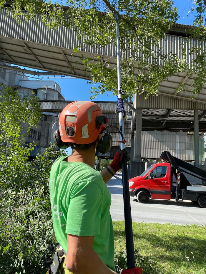 Worker using pole saw for tree trimming tasks outdoors under clear blue sky.